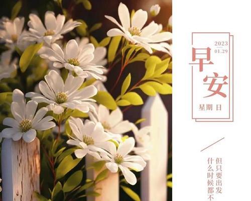 《2024过年，岁月静好，花开春暖》