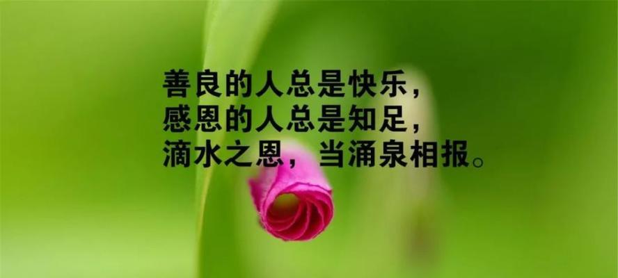 彩色哲理（探寻人生灵魂的无限可能）