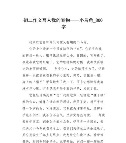 巴西龟的冒险故事（一个勇敢的小家伙与世界接触的故事）