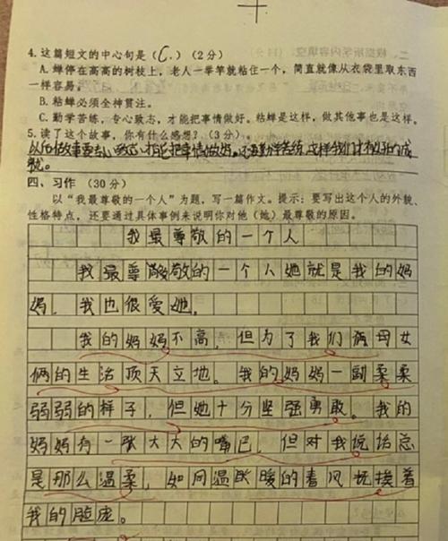 用真诚呵护师生情（用真诚呵护师生情）