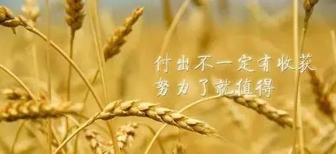 如诗如画，唯美名言（用文字）