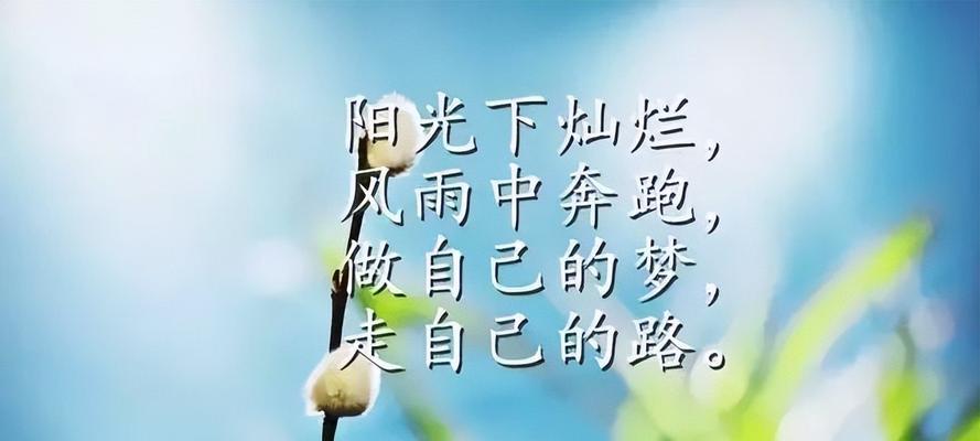 微信朋友圈里的鸡汤句子（唯美短句的力量）