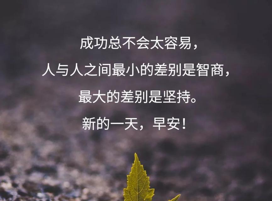 用心感受生活的美好，赢得自己的人生（用心感受生活的美好）