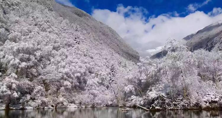 漫步青春，畅谈梦想（探索未知的道路）