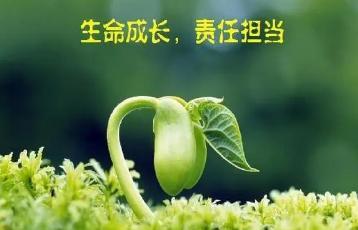 人生态度与责任——探索人生的奥秘