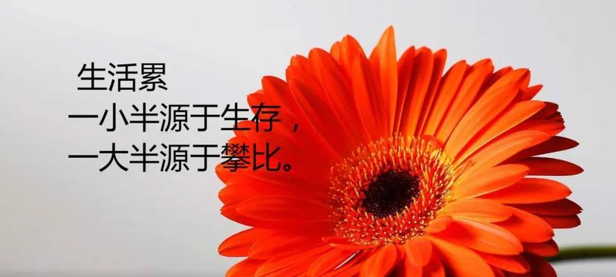 发朋友圈，传递正能量（分享美好）