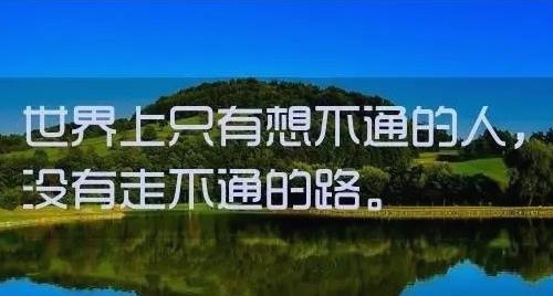 生命之美——我所信仰的人生哲理（探索命运与自由的边界）