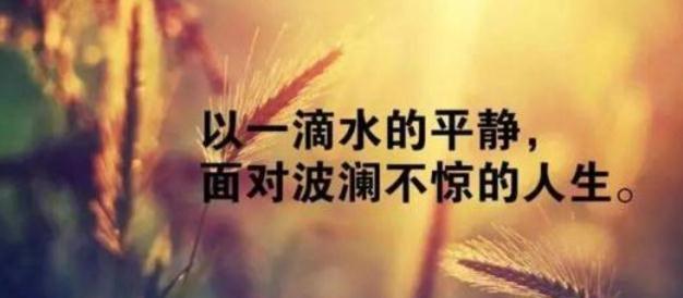 “短语的力量”（“短语的力量”）