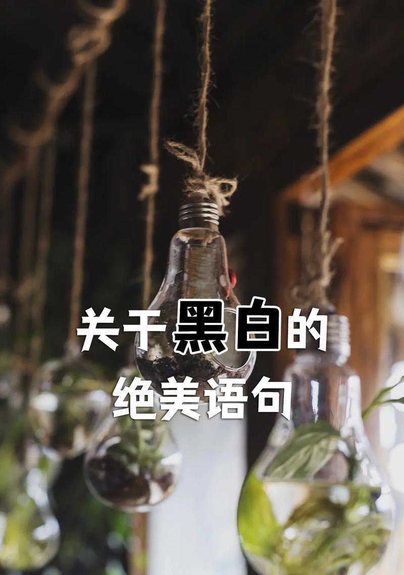 用句子记录青春岁月（用句子记录青春岁月）