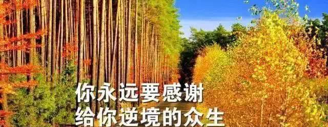 勇敢追梦，不负时光（勇敢追梦）