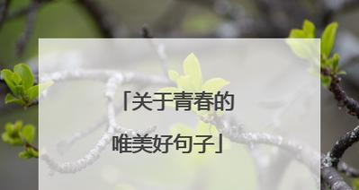 时光不老，我们不散，青春永远不散场（时光不老）