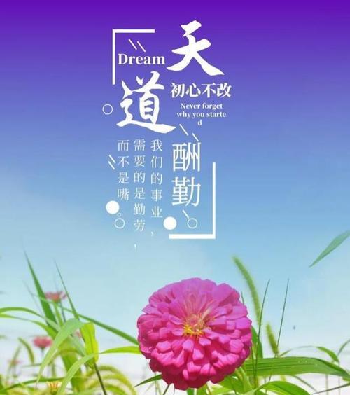 极致温柔——细节中的励志力量（用温暖的语言）