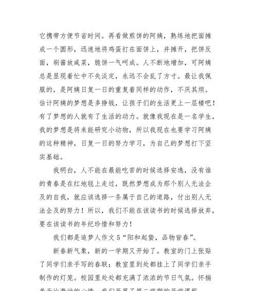 一只追逐梦想的鸟（少年与自己的梦想之间的战斗）