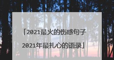 最后的彩虹（以2024只剩最后一个月）