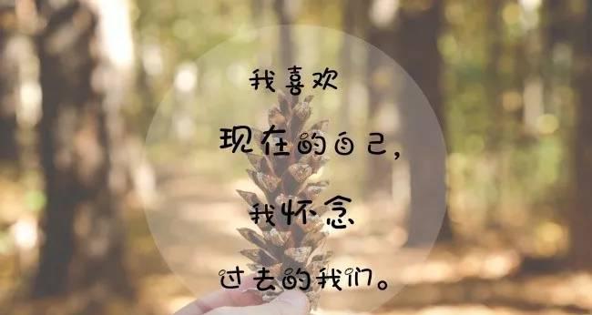 离别，美丽而伤感的告别（从眼神中看出的深情与不舍）