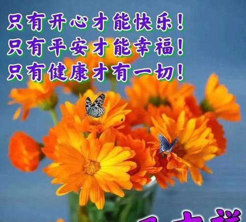 宽容之美：经典句子感悟