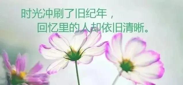 句句说到心坎上（唯美短句）