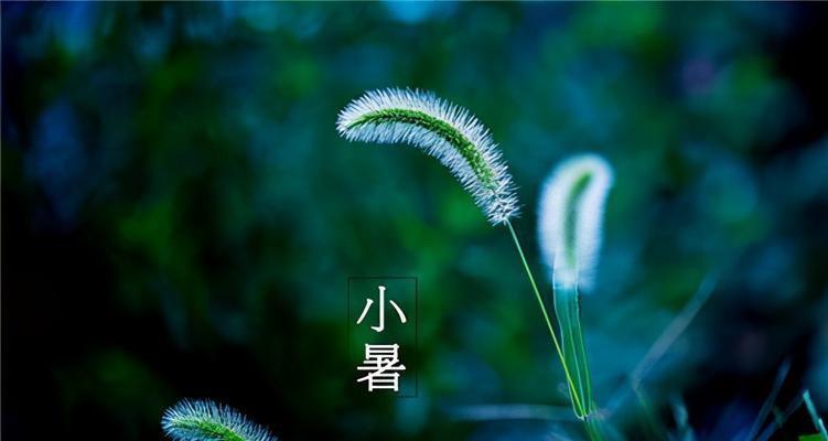 一场视觉与感官的盛宴（一场视觉与感官的盛宴）