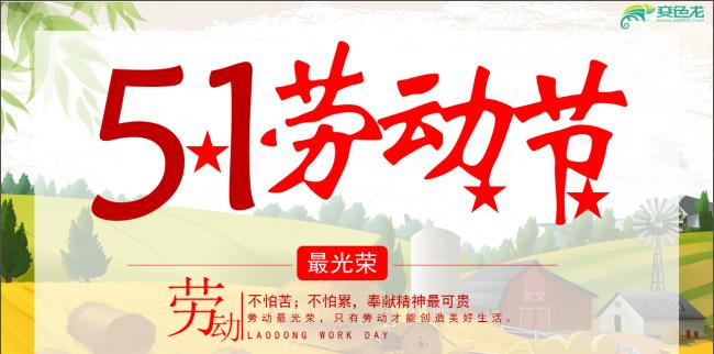 《繁花似锦，劳动创造美好未来》——2024劳动节经典口号