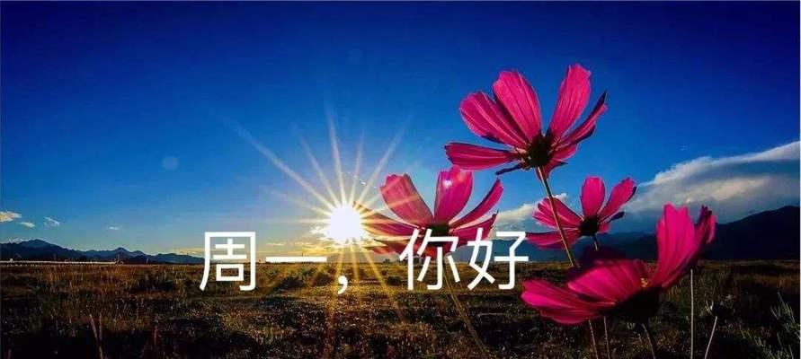 2023夏至有哪些唯美的诗句可以摘抄？如何在夏至这一天找到心灵的慰藉？