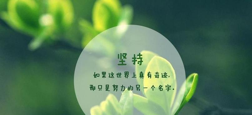 坚强不懈，走得更远（用名言警句与唯美短句探究人生路途）