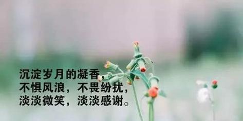 唯美句子感悟，悦动心灵（唯美句子感悟，悦动心灵）